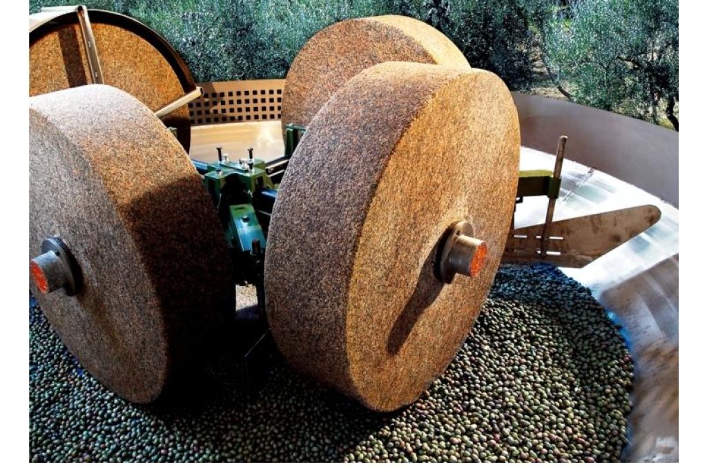Processo di frangitura delle olive