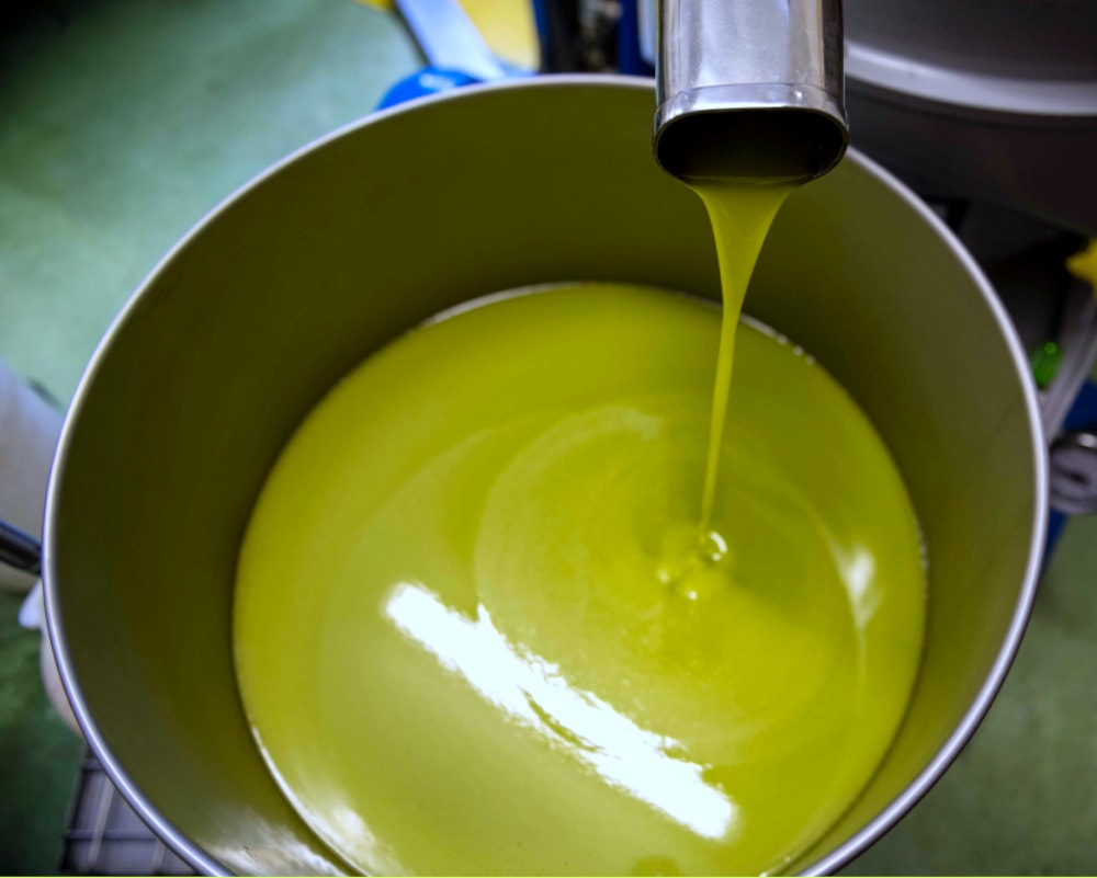 Conservazione dell'olio in silos di acciaio inox