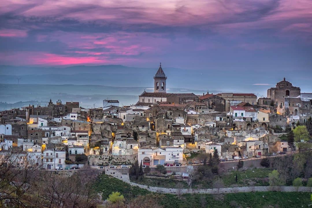 La famiglia Minervino nell'uliveto